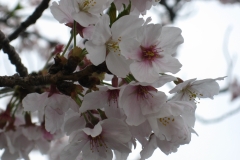 Photo Gallery