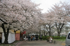 Photo Gallery