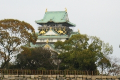 Photo Gallery