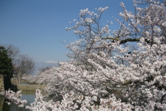 Photo Gallery