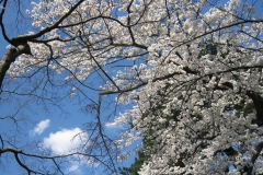 Photo Gallery
