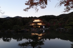 Photo Gallery
