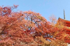 Photo Gallery