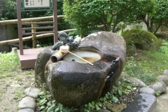 Photo Gallery
