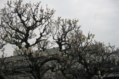 Photo Gallery
