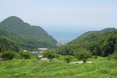 Photo Gallery