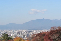 Photo Gallery
