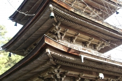 Photo Gallery