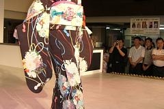 Photo Gallery