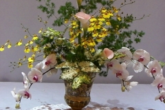 Photo Gallery